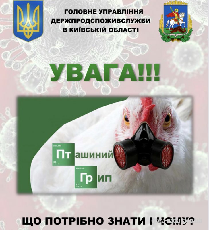 Інформація про пташиний грип