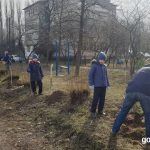 В Горі висадили 60 дерев на вулиці Науки