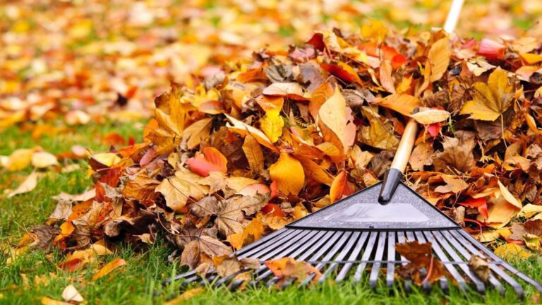 14 листопада 2020р. відбудеться суботник з прибирання опалого листя на дитячих майданчиках
