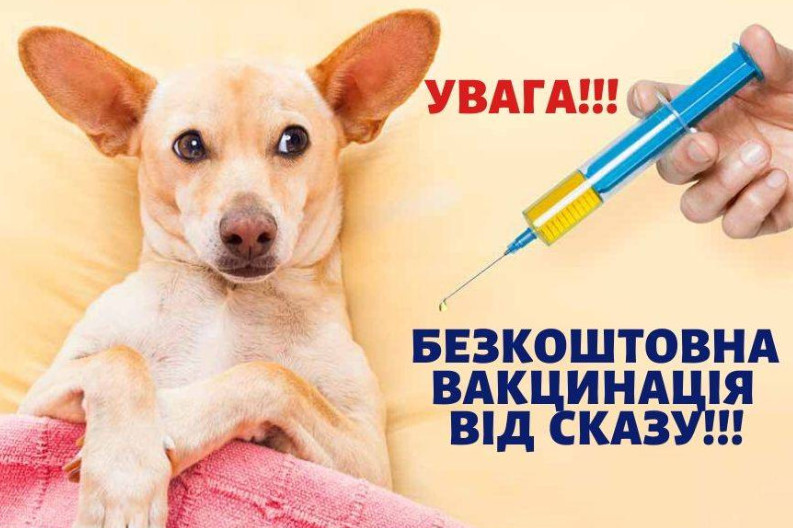 Безкоштовна вакцинація котів та собак від сказу в Гірській громаді