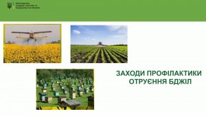 Міністерство аграрної політики та продовольства України розробили заходи профілактики отруєння бджіл