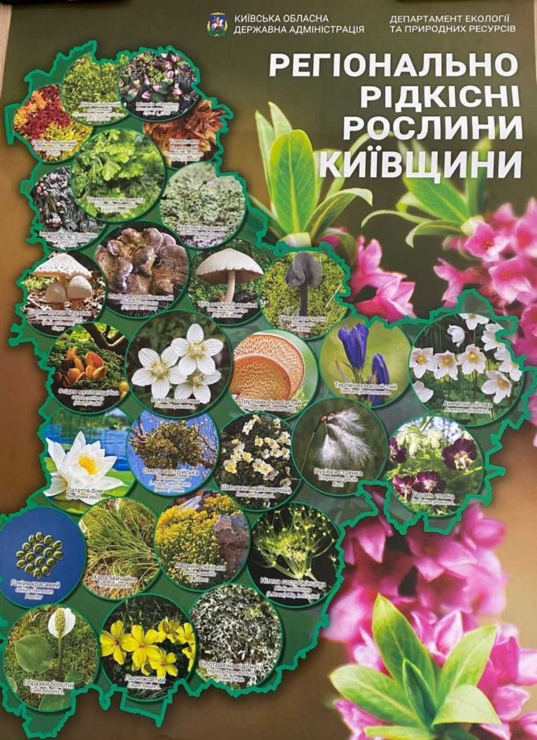 Відповідальність за знищення рослин, які занесені до Червоної книги України