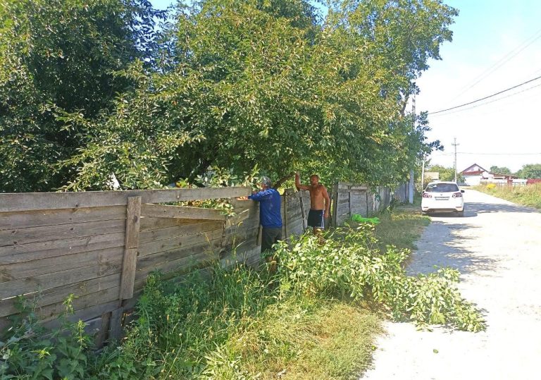 Санітарний агрозахист на вулицях Ревного