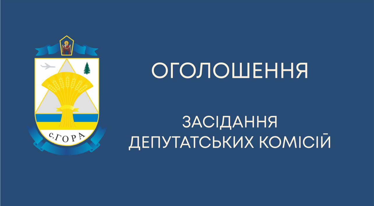 Засідання постійної комісії з питань бюджету, фінансів, соціально економічного та культурного розвитку