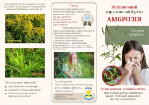 Знищуймо амброзію - небезпечний карантинний бур’ян!