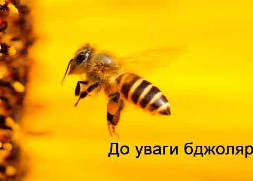 ОГОЛОШЕННЯ! До уваги бджолярів!