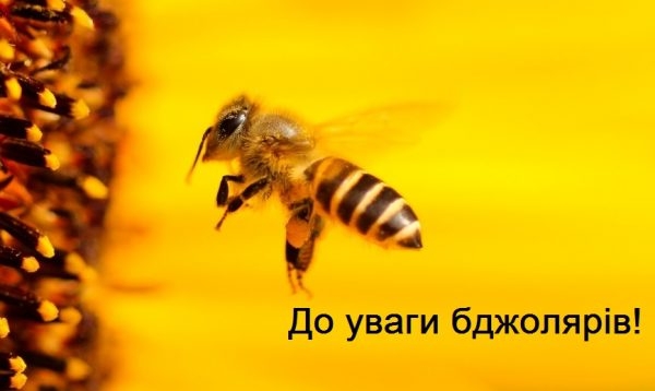 ОГОЛОШЕННЯ! До уваги бджолярів!