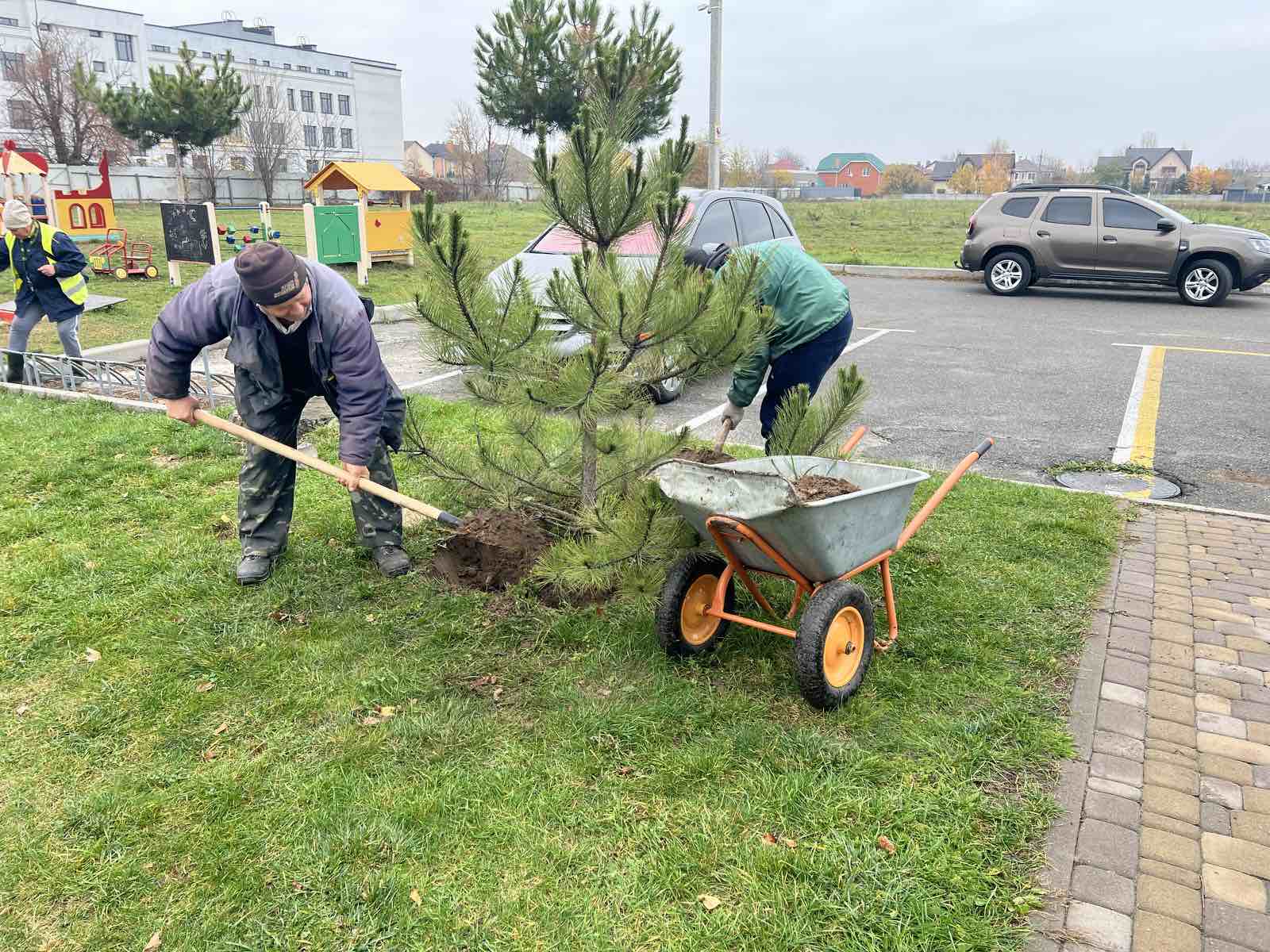 Чисте довкілля – спільна справа: підсумки роботи КП «Горянин»
