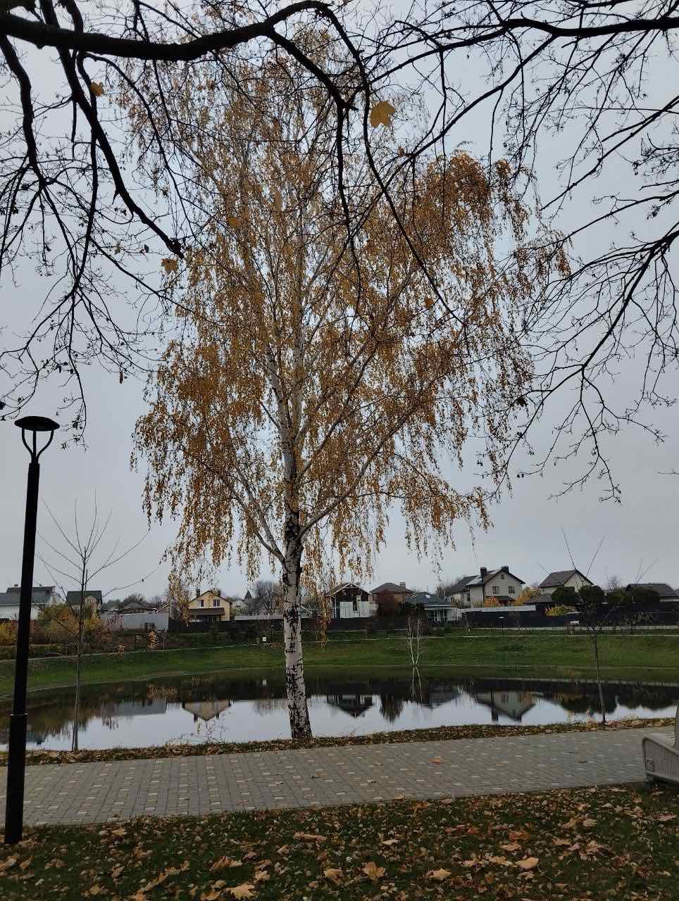 Чисте довкілля – спільна справа: підсумки роботи КП «Горянин»