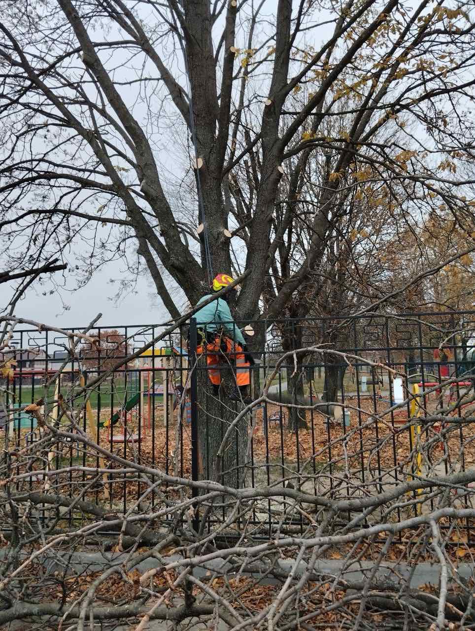 Чисте довкілля – спільна справа: підсумки роботи КП «Горянин»