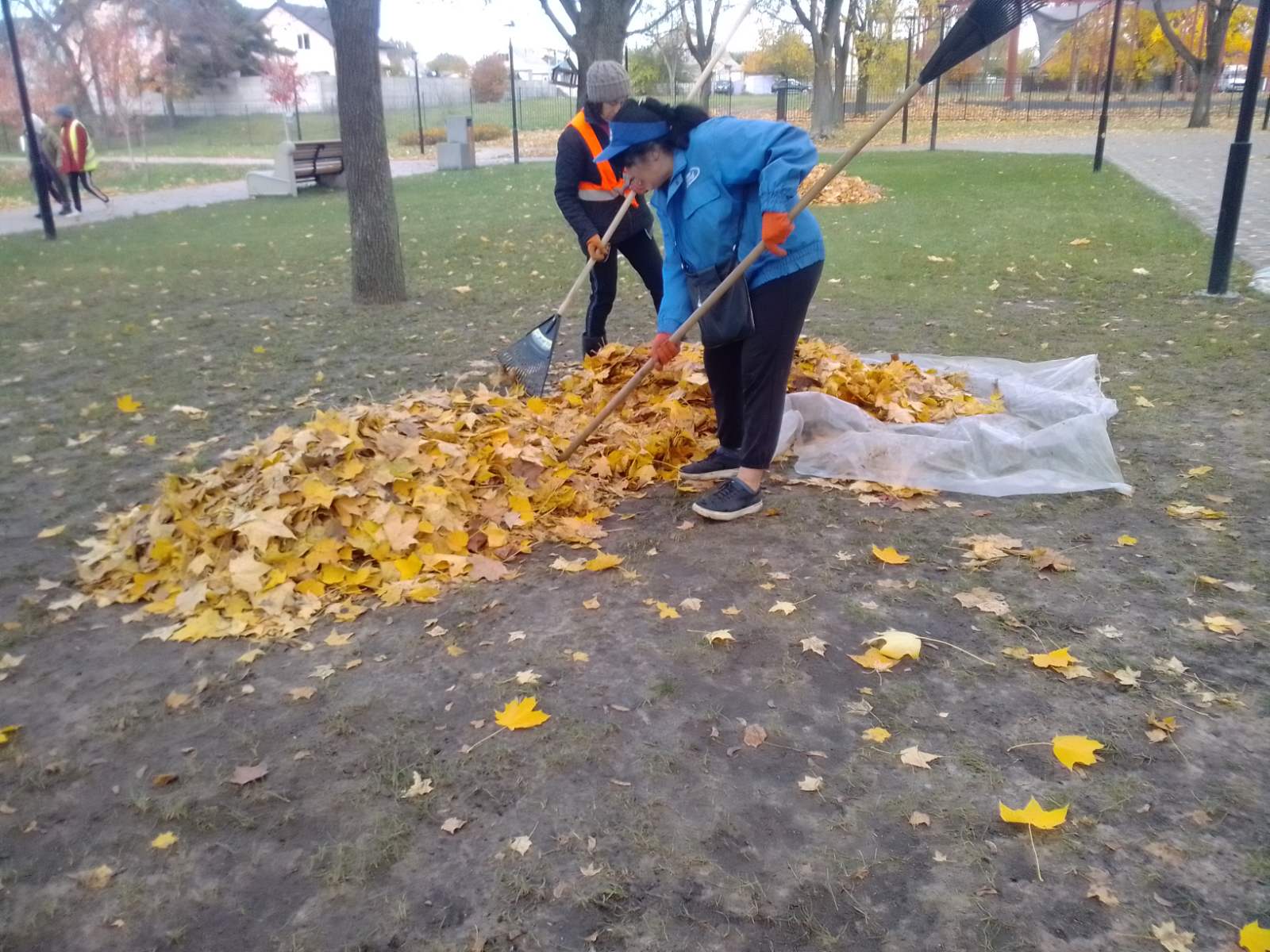 Чисте довкілля – спільна справа: підсумки роботи КП «Горянин»