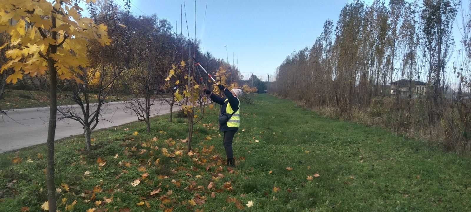 Чисте довкілля – спільна справа: підсумки роботи КП «Горянин»