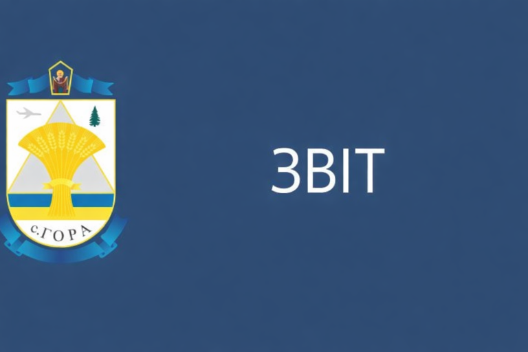 Представлення фінансового звіту