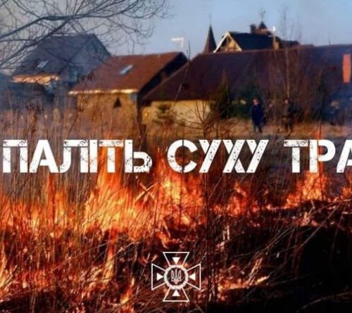 В Україні суворо заборонено спалювання сухої трави, листя та залишків рослинності.