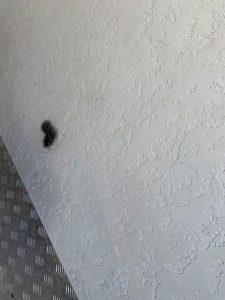 УВАГА! ЗВЕРНЕННЯ ДО ВІДВІДУВАЧІВ ОШИТКІВСЬКОГО ПАРКУ