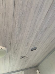 УВАГА! ЗВЕРНЕННЯ ДО ВІДВІДУВАЧІВ ОШИТКІВСЬКОГО ПАРКУ