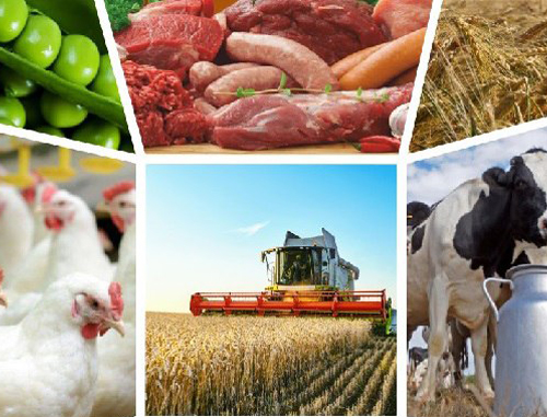 Про внесення змін до Комплексної програми розвитку сільського господарства та сільських територій Київської області на 2024-2027 роки