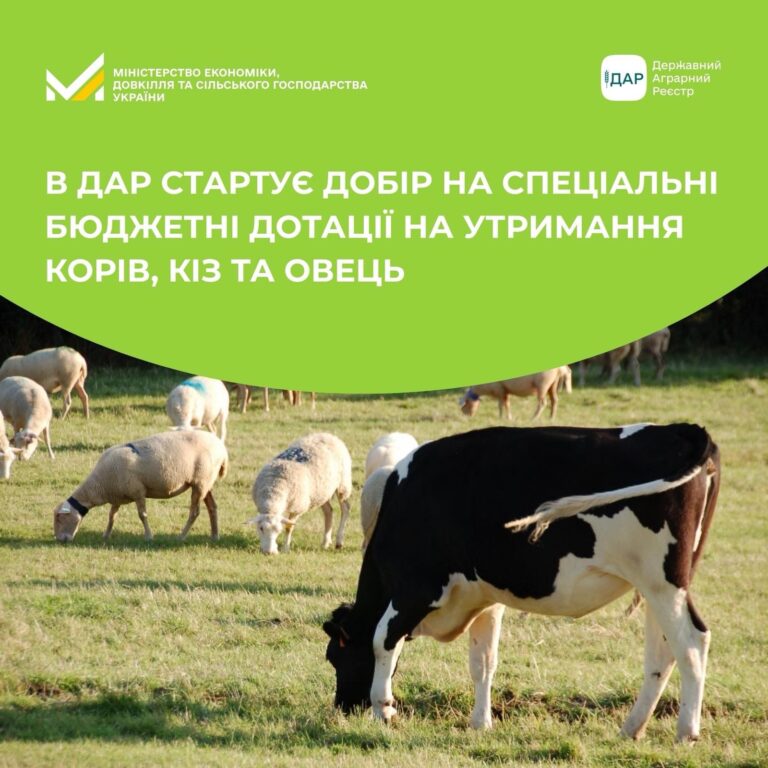 В ДАР стартує добір на спеціальні бюджетні дотації на утримання корів, кіз та овець