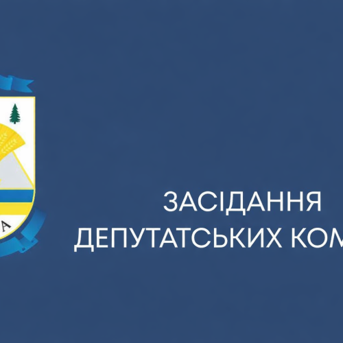 08 квітня 2026 року в адміністративному приміщенні Гірської сільської ради відбулося засідання комісії з питань освіти, культури, сім’ї, молоді, спорту, у справах релігії, соціального захисту населення та охорони здоров’я.