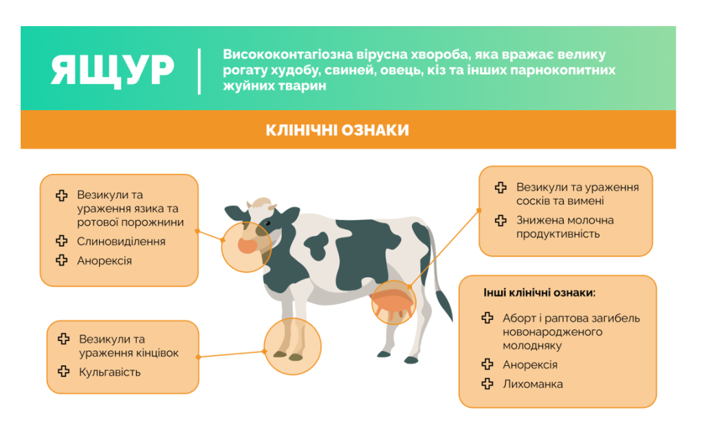 ЯЩУР: ІНФОРМАЦІЯ ДЛЯ НАСЕЛЕННЯ