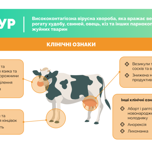 ЯЩУР: ІНФОРМАЦІЯ ДЛЯ НАСЕЛЕННЯ