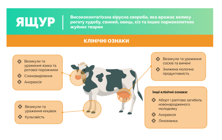 ЯЩУР: ІНФОРМАЦІЯ ДЛЯ НАСЕЛЕННЯ