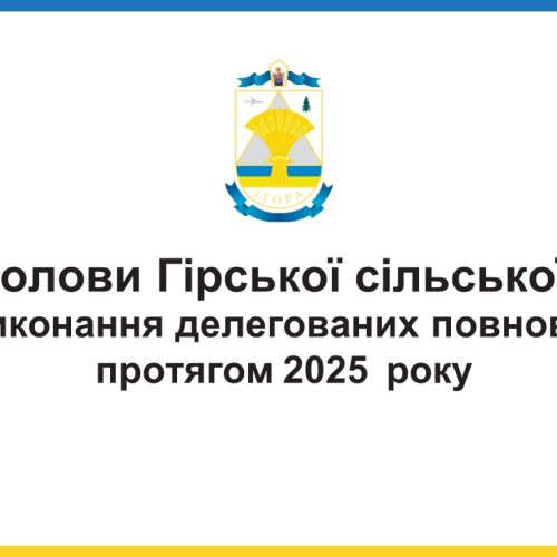 Звіт голови Дмитріва Романа Миколайовича