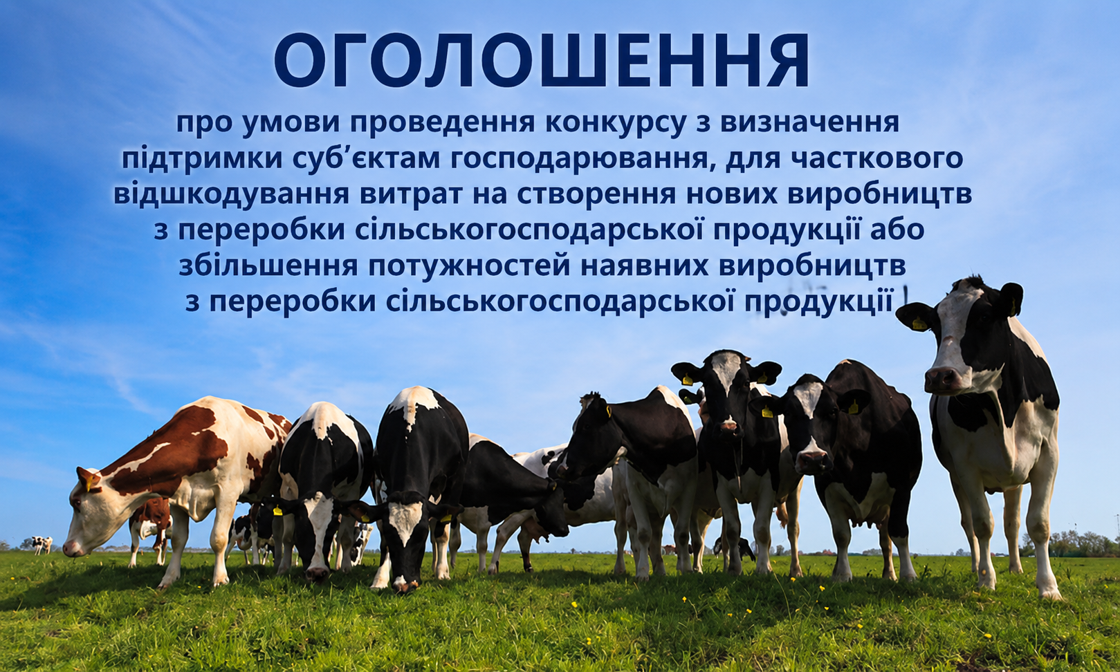 ОГОЛОШЕННЯ  про умови проведення конкурсу  з визначення підтримки для дотації суб’єктам господарювання за приріст корів власного відтворення