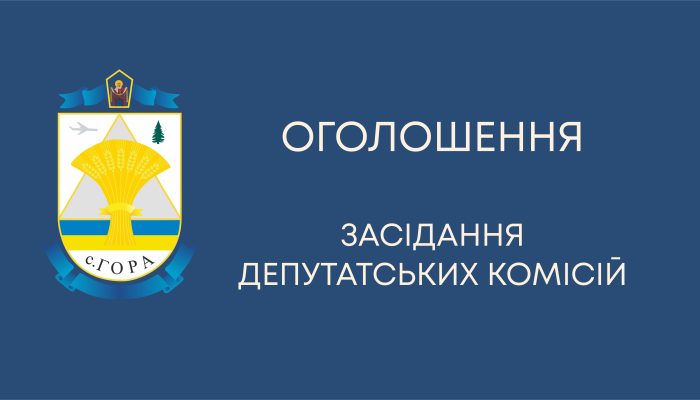 Засідання комісії з питань освіти, культури, сім’ї, молоді, спорту, у справах релігії, соціального захисту населення та охорони здоров’я