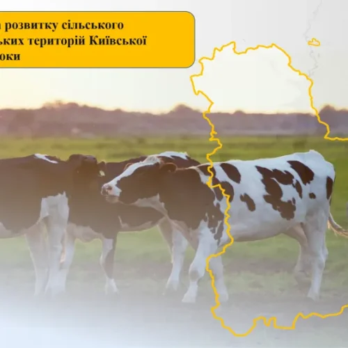 Підтримка аграріїв Київщини: нові можливості для розвитку у 2026 році