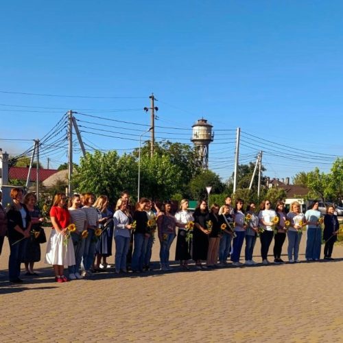 Соняхи пам’яті для наших Героїв!