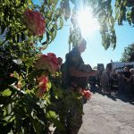 Дмитро Шаровський