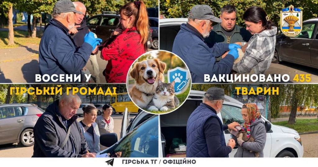 Восени у Гірській громаді вакцинували 435 тварин