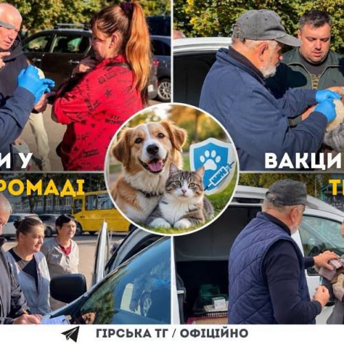 Восени у Гірській громаді вакцинували 435 тварин