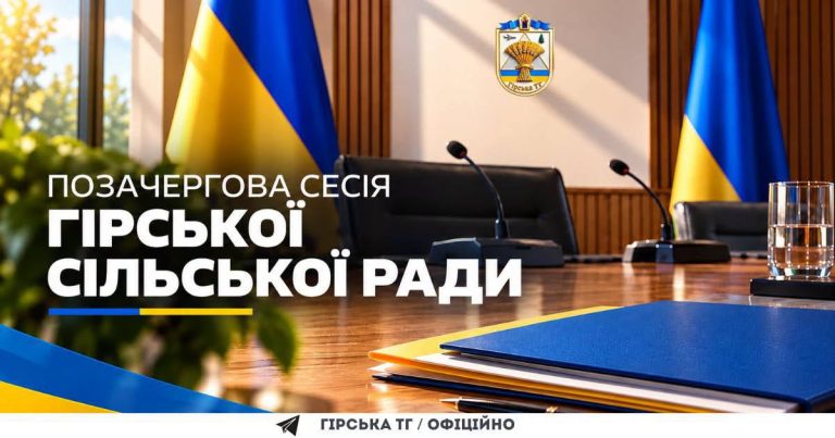 Депутати сільської ради підтримали всі питання порядку денного позачергової сесії