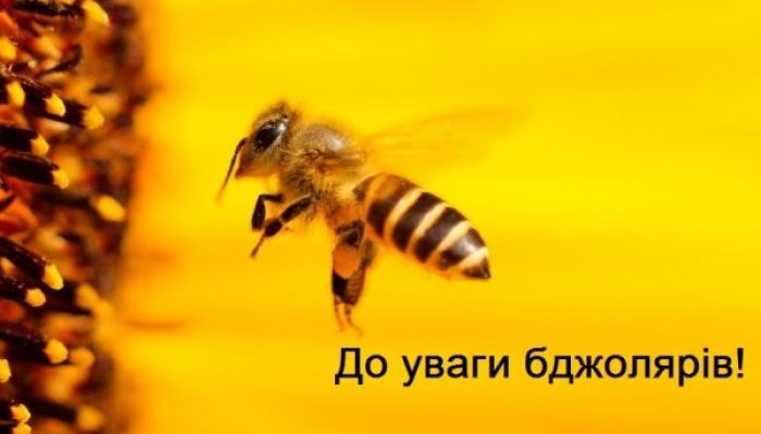 1742389504_23232-600x358-1