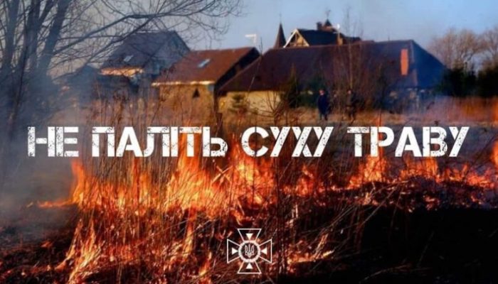 352347273_943356166880150_1012080614718320759_n-800x445-1