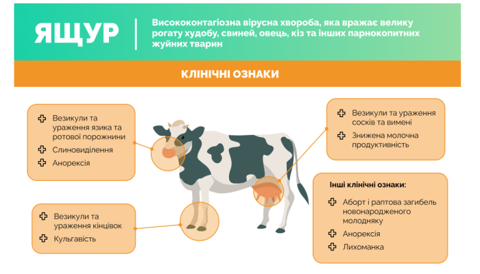 ec1a41ab-8025-453d-814d-360385923c0f