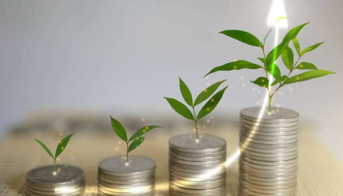 stacks-of-coins-money-with-plants-sprout-on-top-2024-11-26-04-21-06-utc-1-1