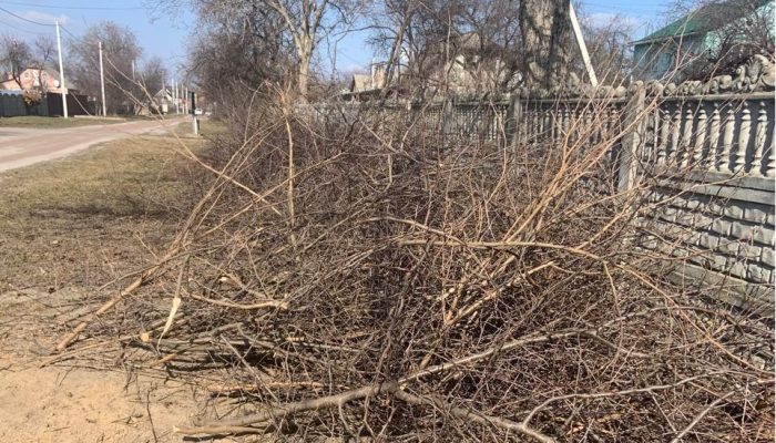 WhatsApp Image 2026-03-20 at 13.38.28