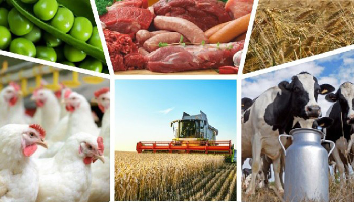 zobrazhennia_2025-09-12_094720493