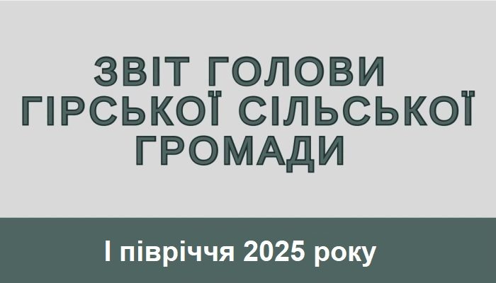 Звіт голови 2025